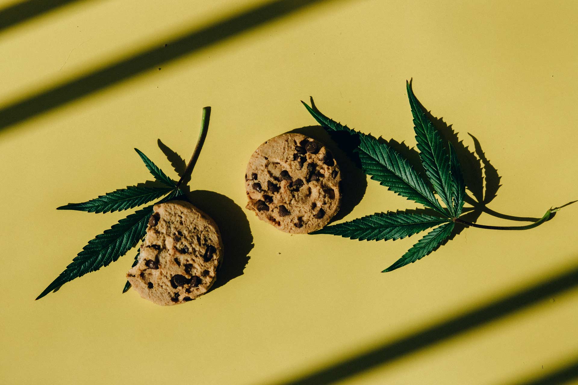 chocolate chip cookies next to cannabis leaves