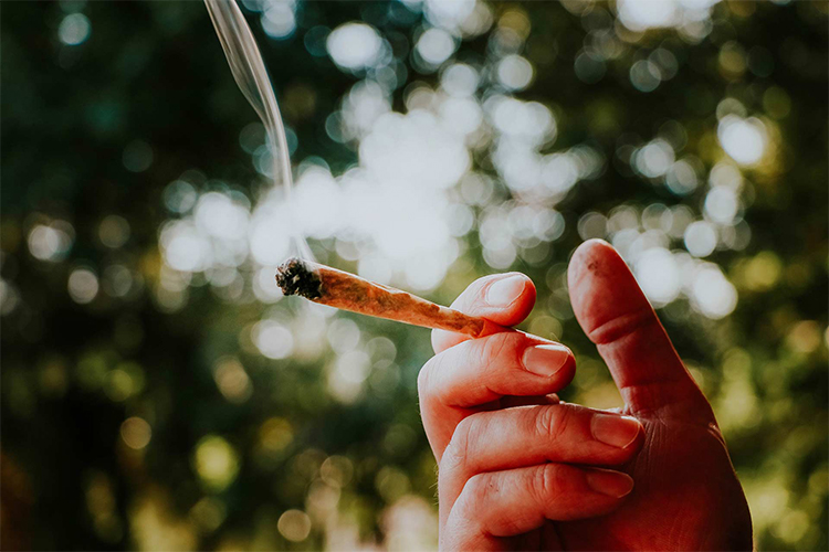 Hand holding a lit cannabis pre-roll