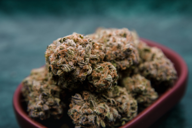 Bowl filled with cannabis flower buds