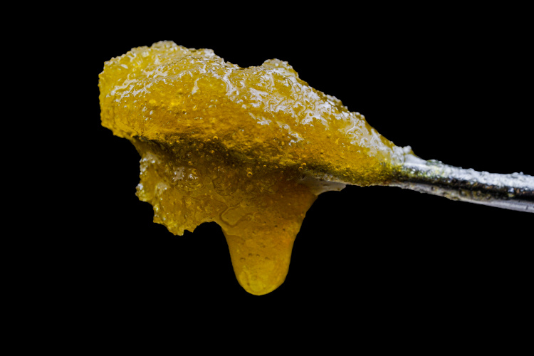 Cannabis concentrate on a dab tool