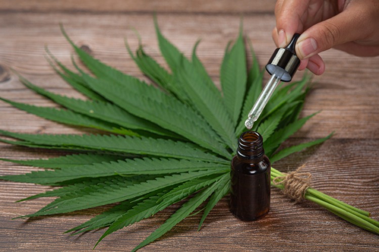 Cannabis oil dropper with hemp leaves