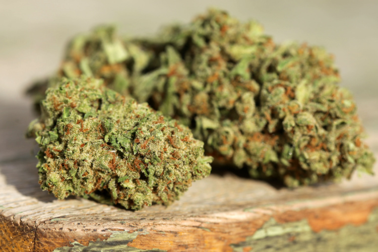 Close-up of premium cannabis flower on a wooden surface